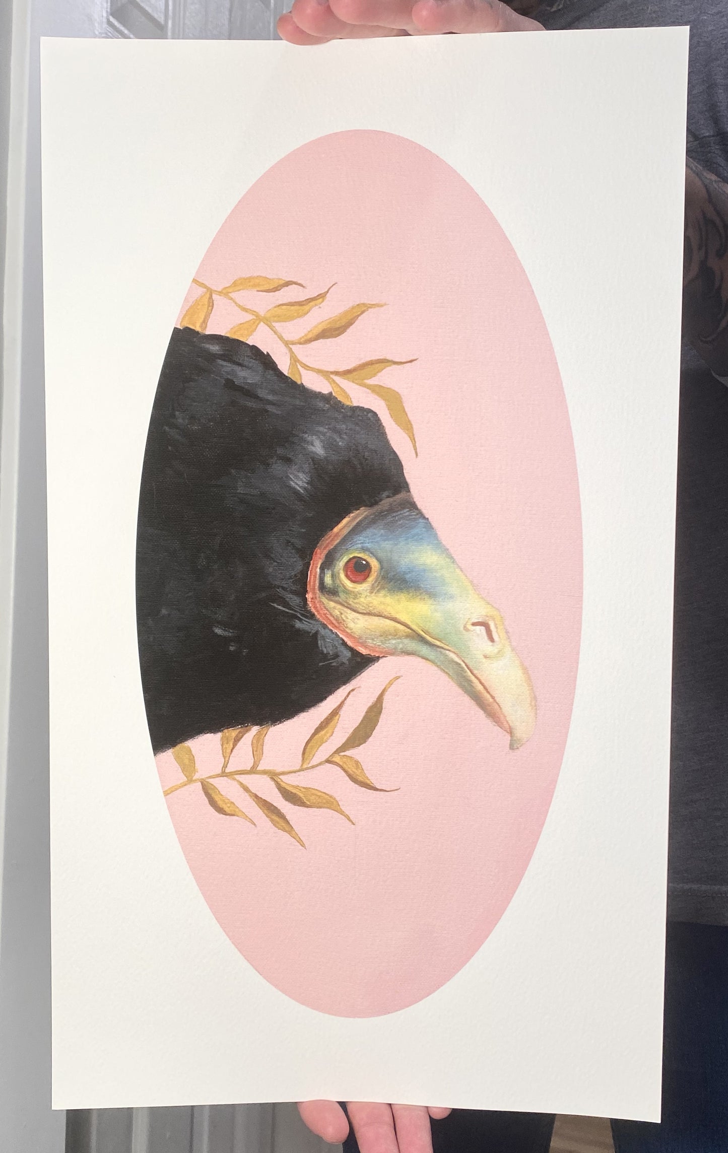 Yellow Headed Vulture Fine Art Print