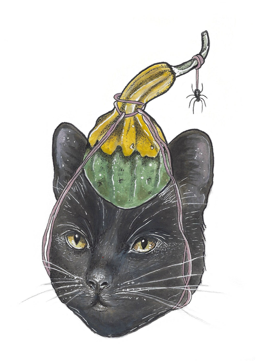 Gourd Cat Fine Art Print